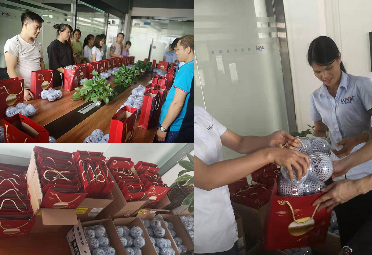 直线模组, 皮带模组, 同步带模组